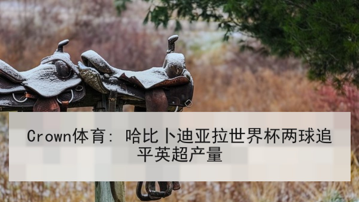 Crown体育: 哈比卜迪亚拉世界杯两球追平英超产量